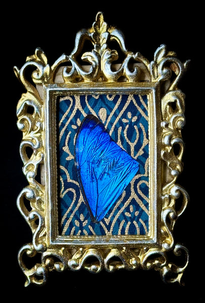 Blue Morpho Wing