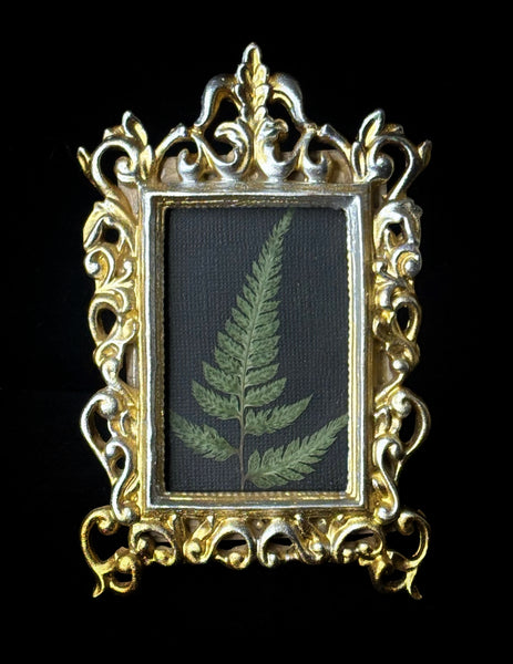 Fern Frond