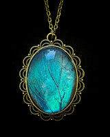 Blue Morpho Necklace