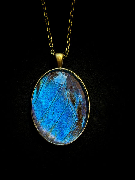 Blue Morpho Necklace