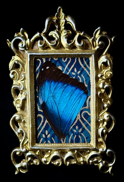 Blue Morpho Wing