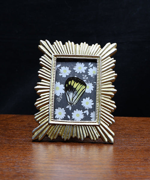 Daisy Fields Forever