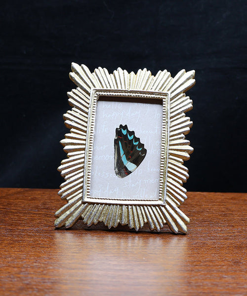 Fluttered Chronicles