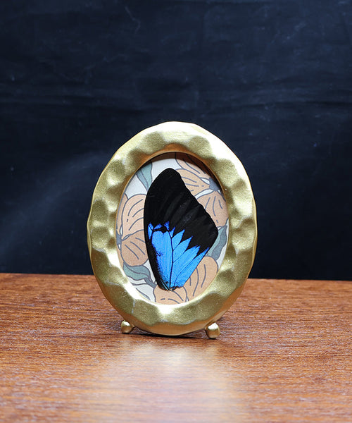 Orange Blooms & Butterfly Blue