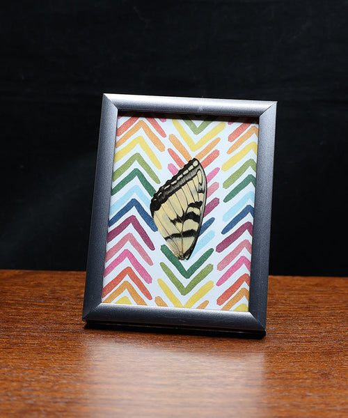 Rainbow Wings and Chevron Things