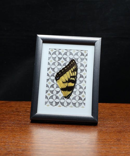 Sunshine Stripes and Circles Delight