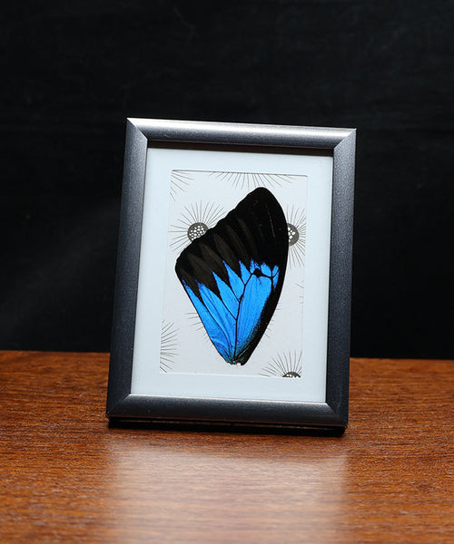 Electric Blue, I Love You