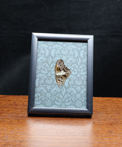 Vintage Elegance in Butterfly Form