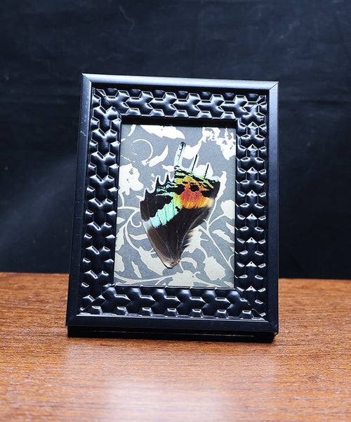 Tropicalia in Flight