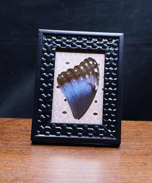 Morpho Toned
