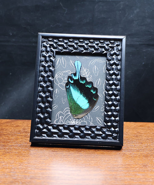 Electric Leaf Flight