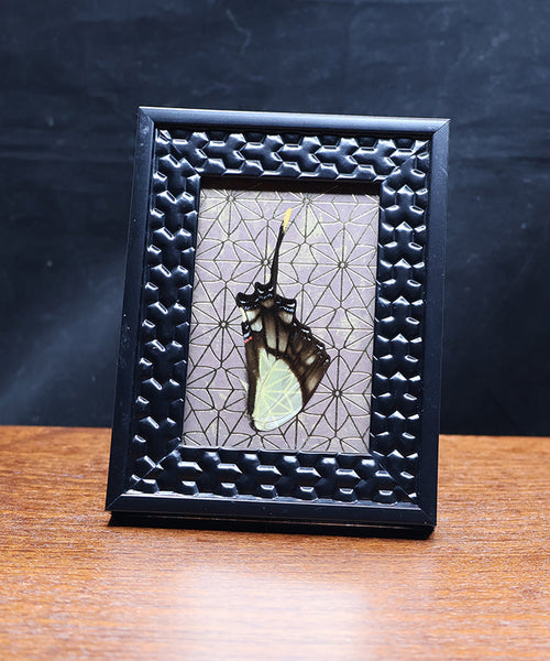 Geometric Swallowtail