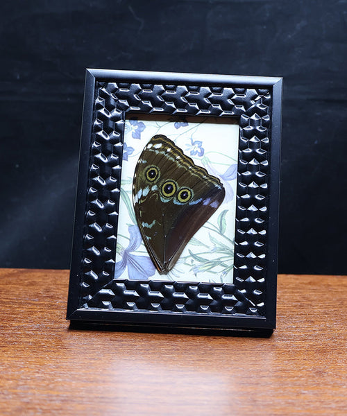 Fascination in the Garden