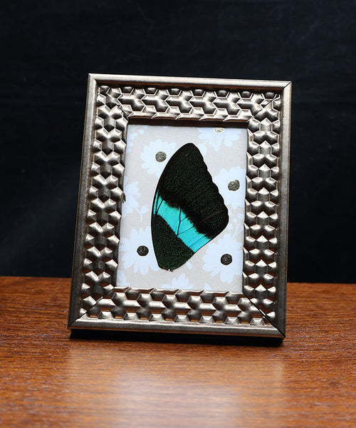 From the Sea to the Garden