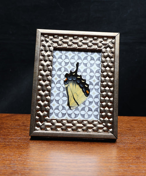 Dazzling Lines of the Tiger