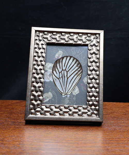 Enchantments in Nature