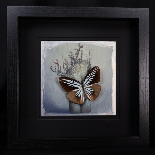 Blue Wanderer Butterfly