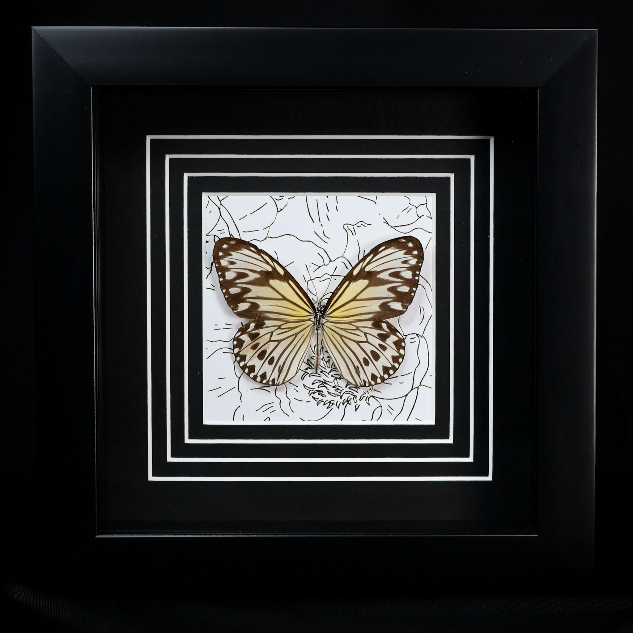 New 100% Authentic SWAROVSKI Crystal Idyllia Butterfly