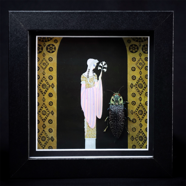 Jewel Beetle