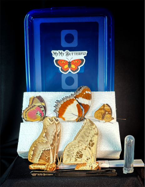 Butterfly Pinning Kit