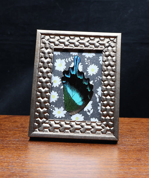 Daydreams and Daisies