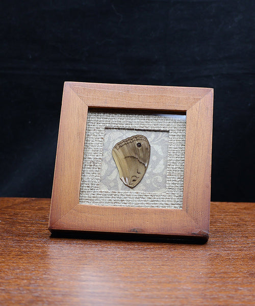 Coffee Conversations