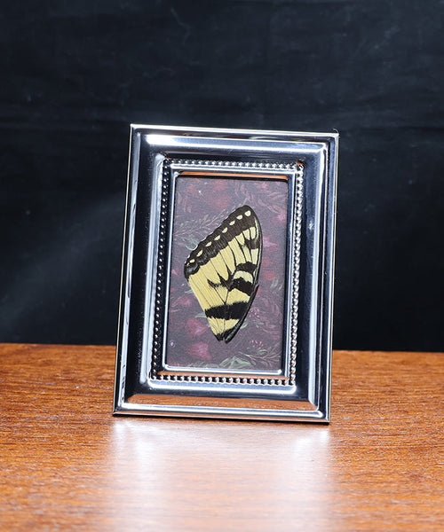 Tiger Stripes at Twilight