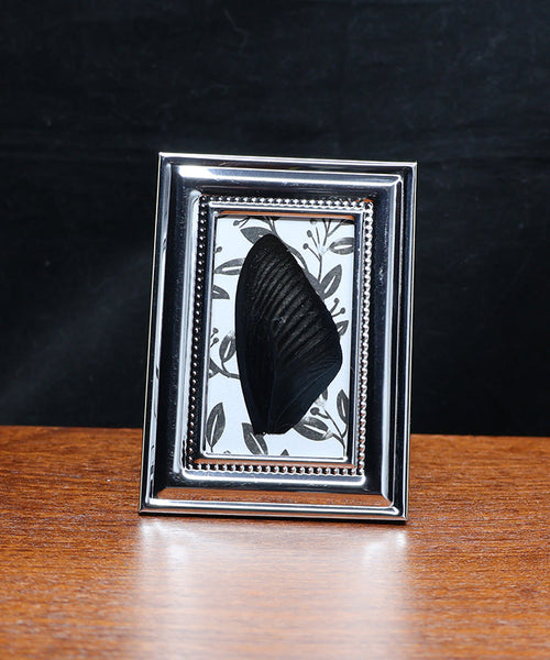 Stardust Confessions