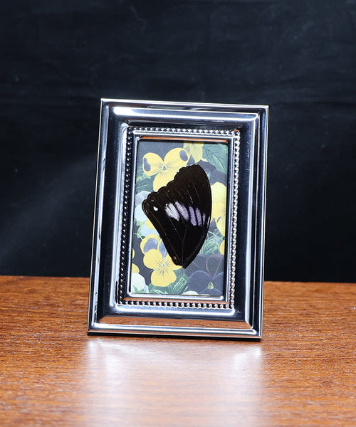 Violets and Twilight Wings