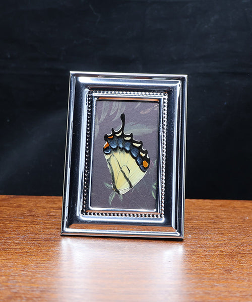 Cheerful Nature Spotlight