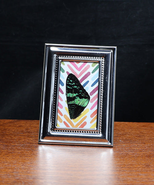 Polychromatic All Day