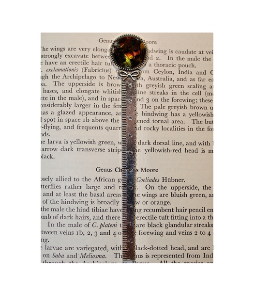Moth Wing Bookmark/Ruler