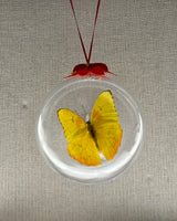 Barred Sulphur Butterfly Ornament