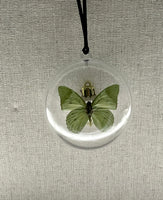 Common Green Butterfly Ornament
