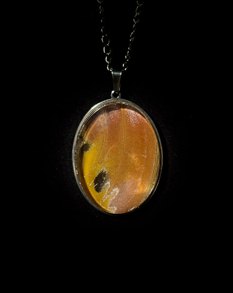 Moth Wing Necklace