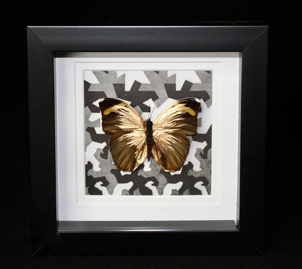 Limited Edition Gold Butterfly