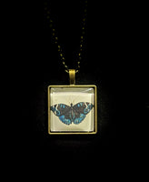 Blue Butterfly Print Necklace