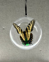Tiger Swallowtail Butterfly Ornament